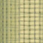 The Plaid One